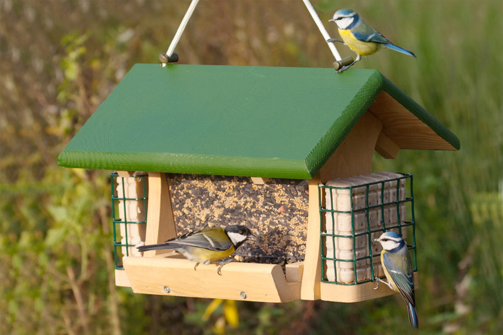 Bird feeding house